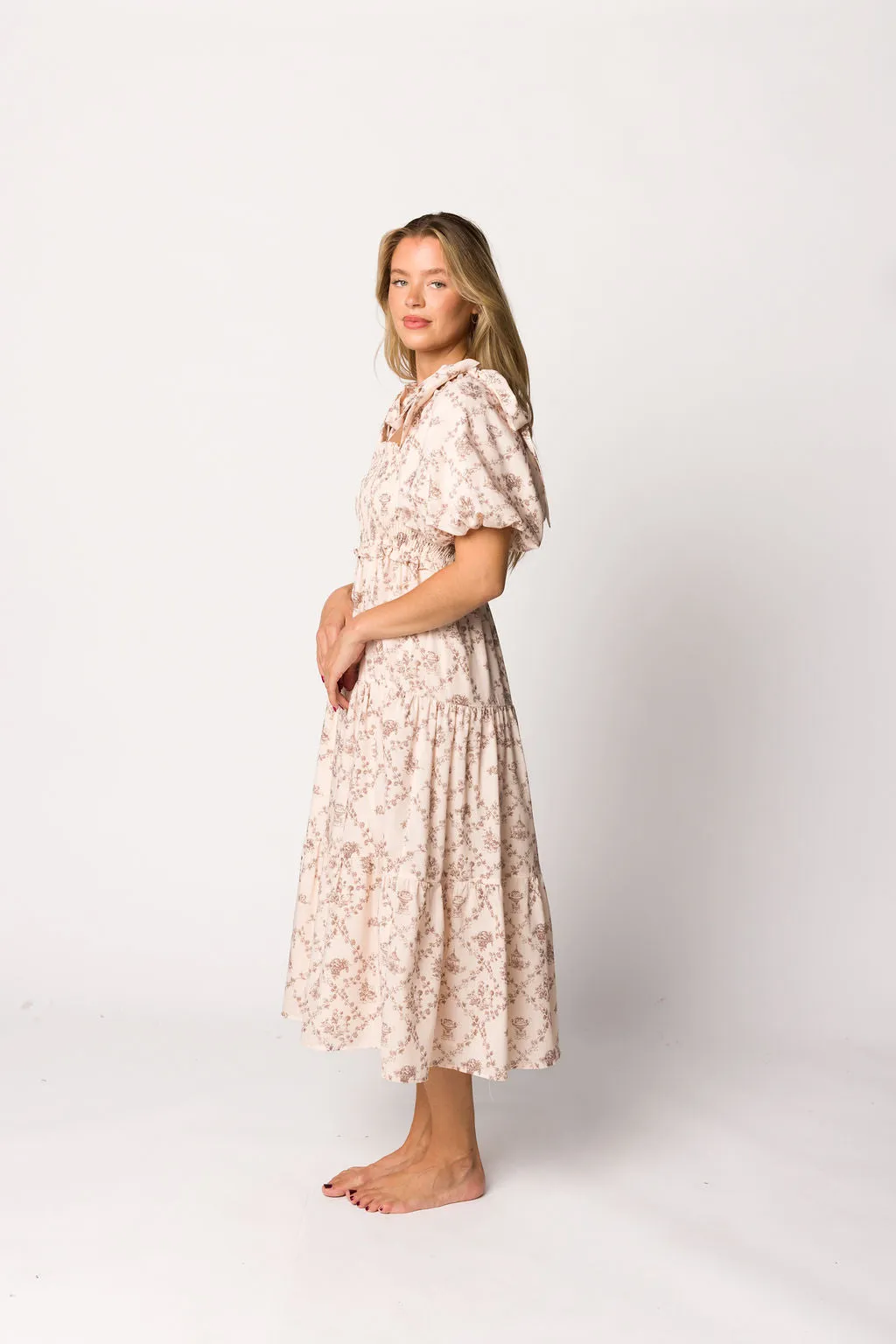 Elena Toile Print Smocked Midi Dress in Mocha