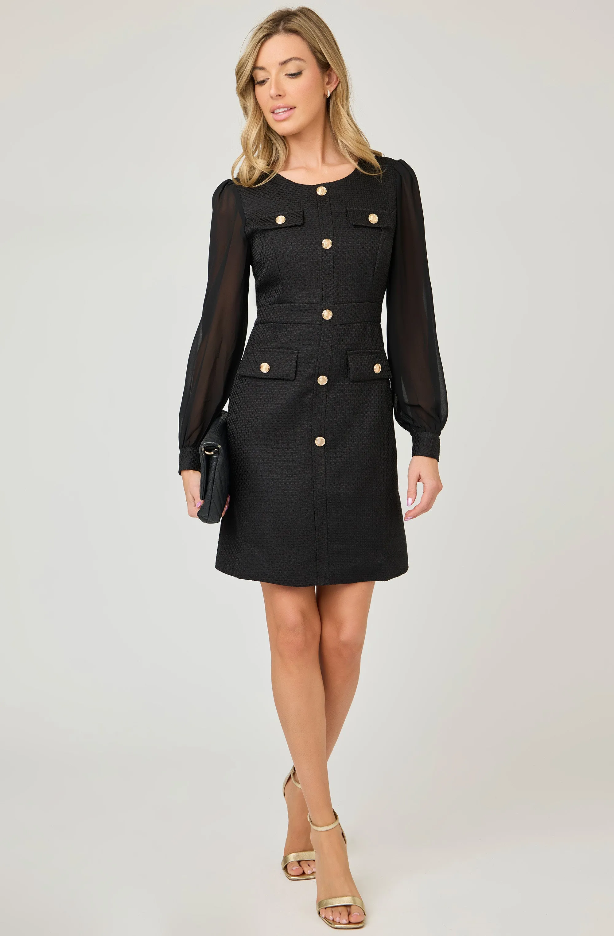 Embossed Fitted Dress with Chiffon Puff Sleeves