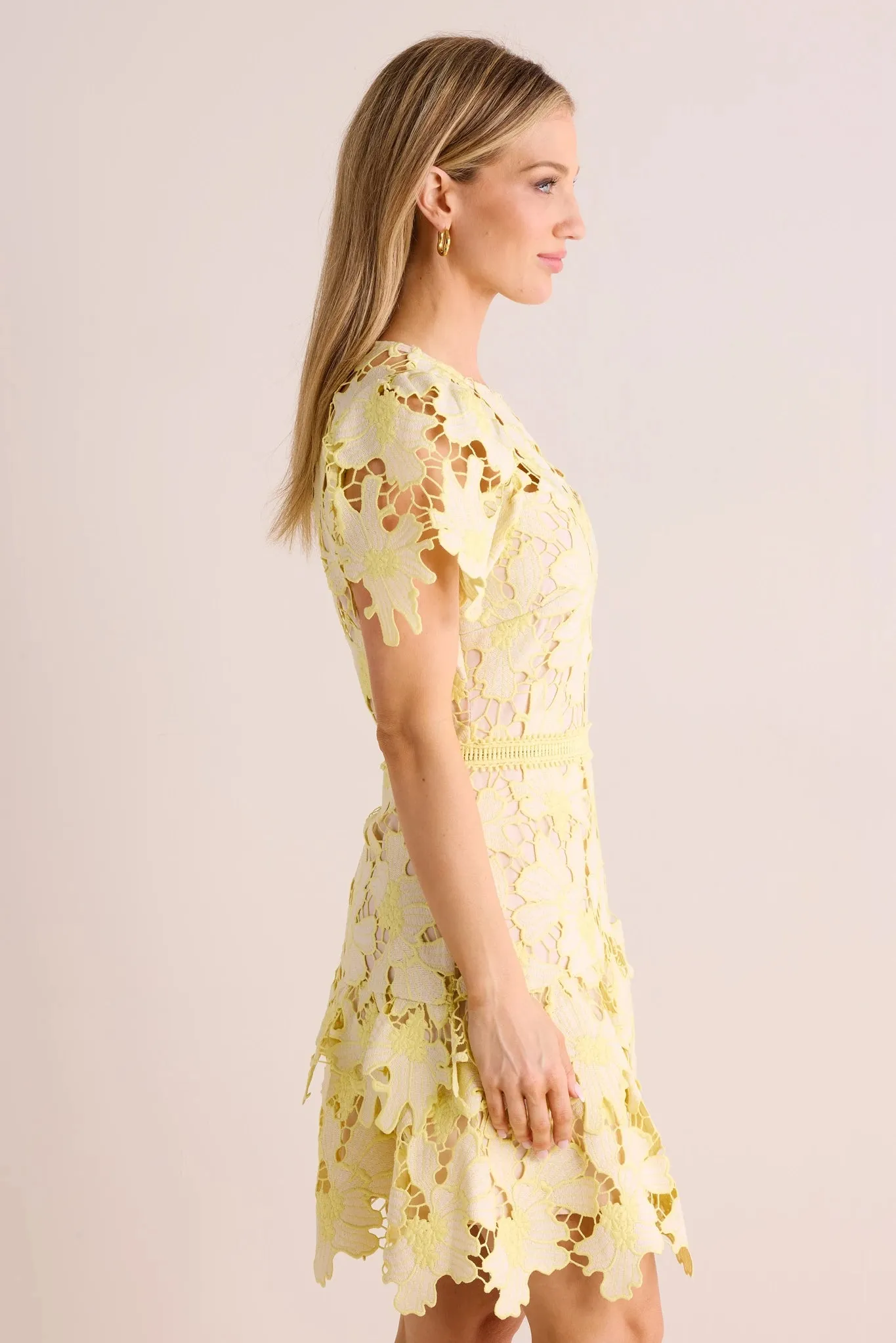 Scarlett Dress