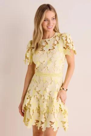 Scarlett Dress